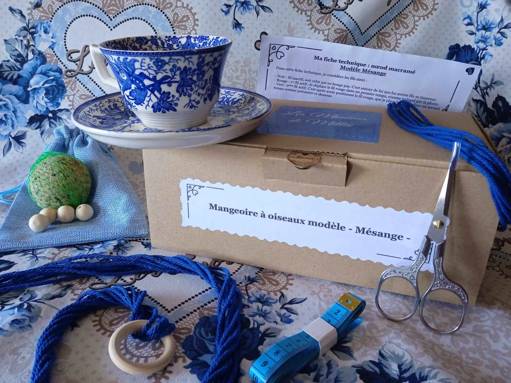 Kit DIY Mangeoire bleu à oiseau modèle Mésange