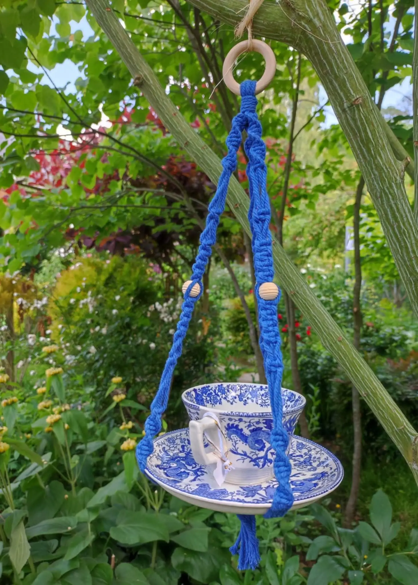 Mangeoire bleu avec dragons suspendu dans un jardin