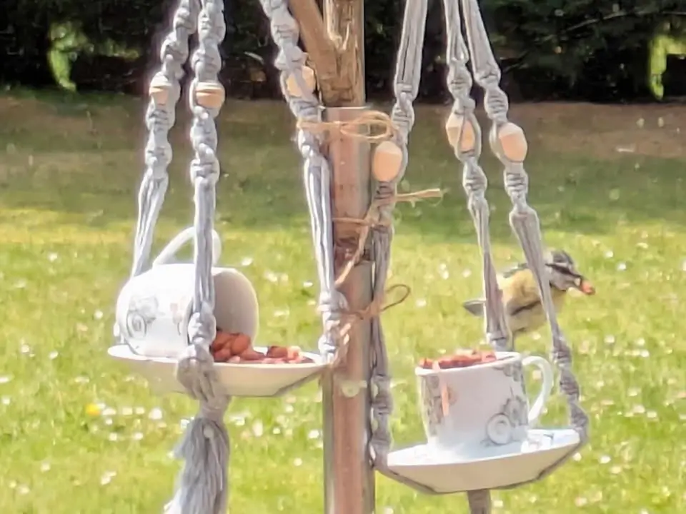 Une mésange prend des graines dans une mangeoire