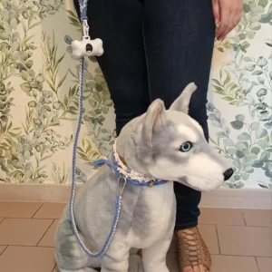 Laisse modèle Tandem + collier Hatchi couleur bleu