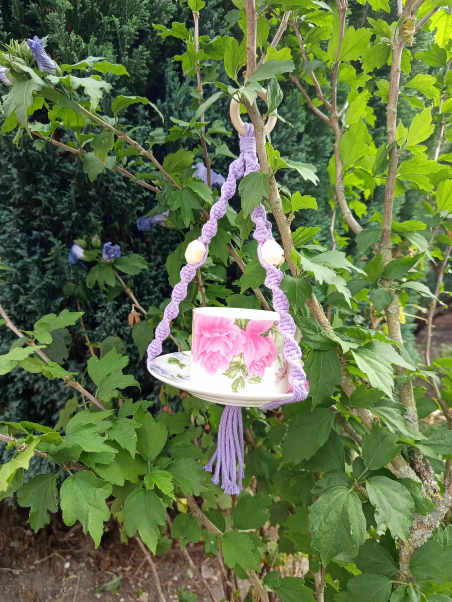 une mangeoire mésange mauve dans un arbre