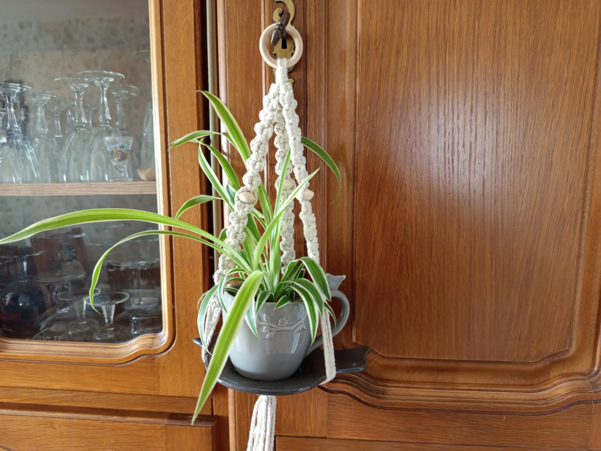 Mes création chez vous, une mangeoire avec une tasse et suspension macramé qui contient une plante