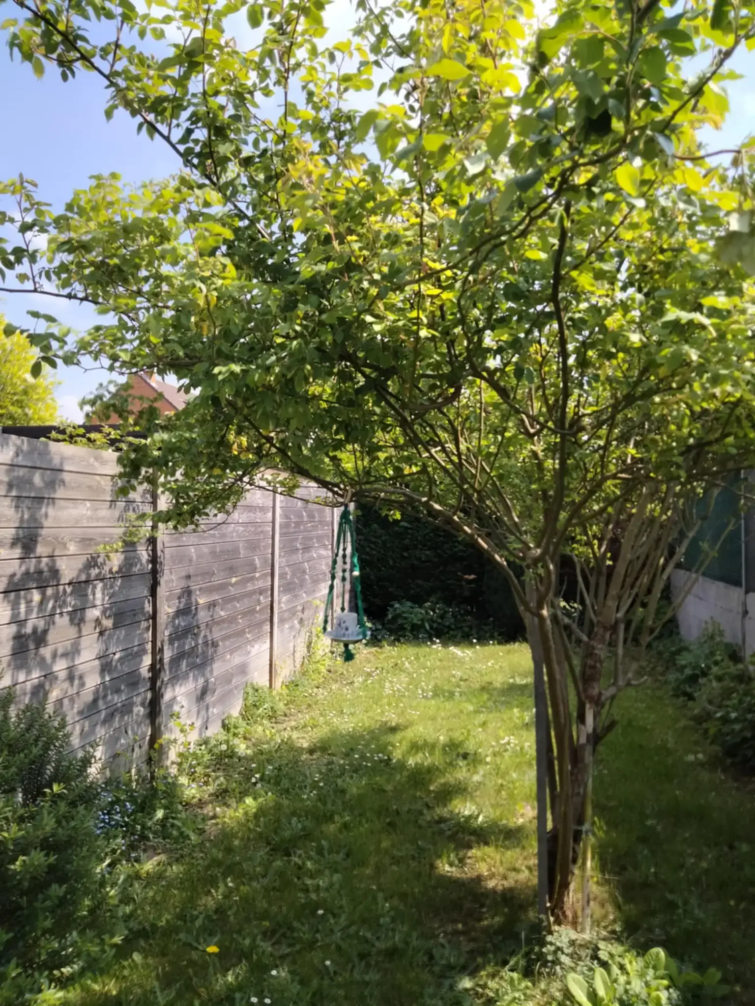 Un arbre dans lequel est suspendu une mangeoire à oiseaux fait main, depuis un kit DIY