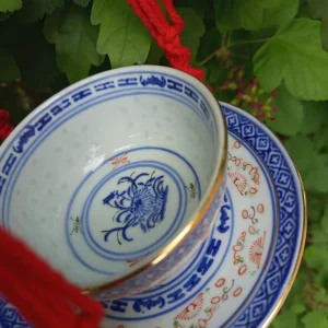 une mangeoire mésange en porcelaine japonaise rouge et bleu dans un arbre