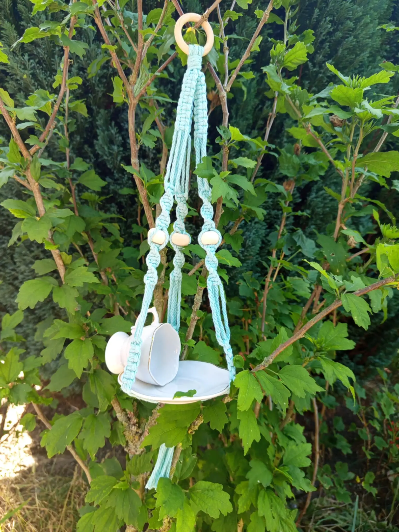 Une mangeoire modèle Roitelet dans un arbre