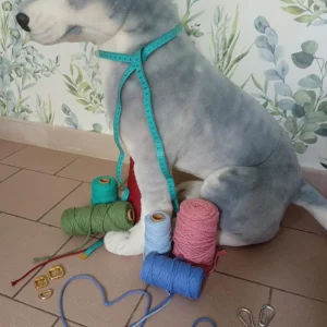 Collier Hatchi sur mesure personnalisable, une paure de ciseaux, des anneaux, des crochets, du fils de macramé de plusieurs couleur et un mètre