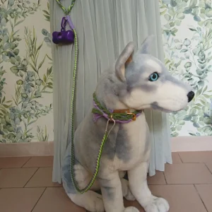 Laisse modèle Tandem + collier Hatchi couleur mauve, kaki et vert fluo