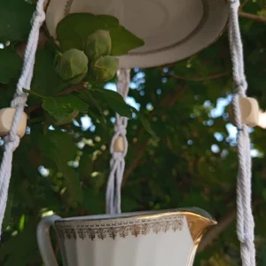 Mangeoire modèle roitelet, pot de lait et chapeau couleur blanc suspendu dans un arbre