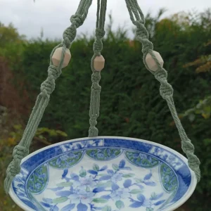 Mangeoire assiette bleu et vert suspendue dans un arbre