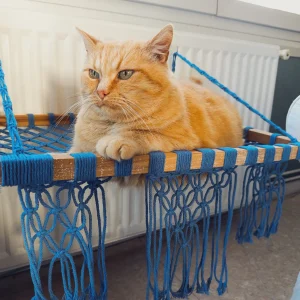 Hamac à chat en macramé bleu à suspendre sur un radiateur avec un chat roux dessus