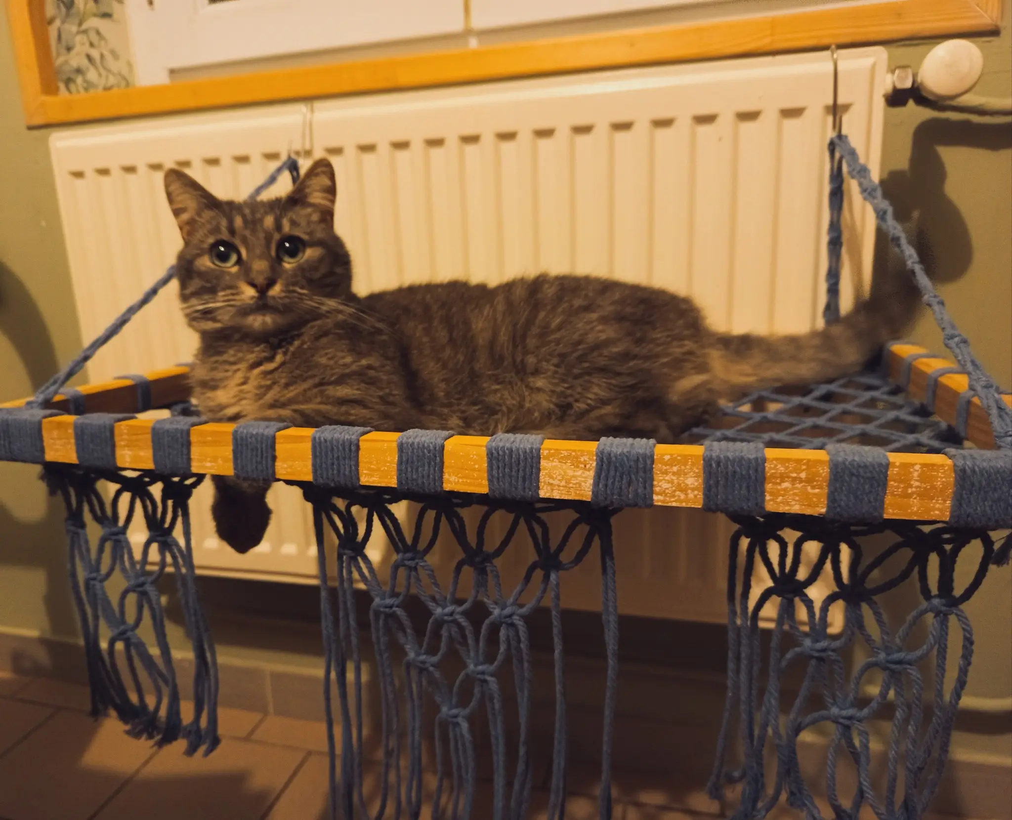 Hamac à chat en macramé bleu à suspendre sur un radiateur avec un chat gris dessus