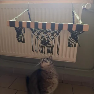 Hamac à chat en macramé vert à suspendre sur un radiateur avec un chat gris en dessous