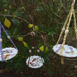 3 Mangeoires assiettes mauve, jaune et marron avec des oiseaux dessus suspendue dans un arbre