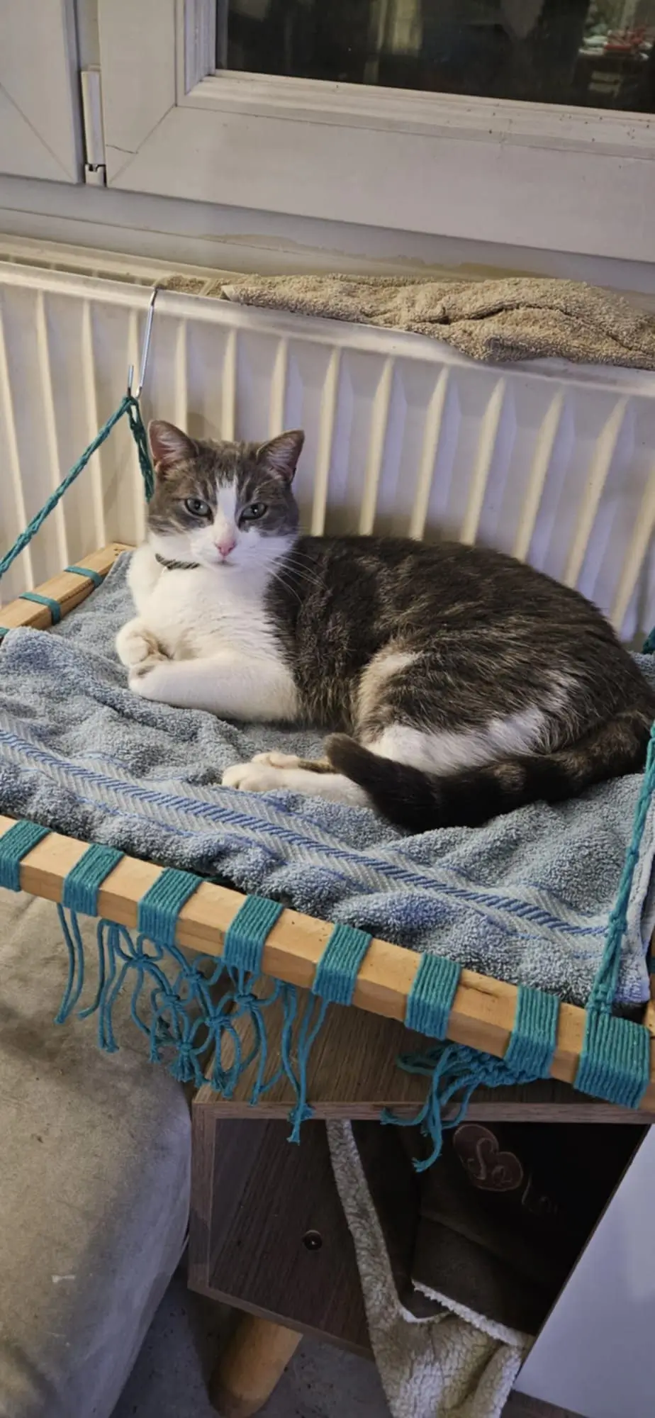 Hamac à chat en macramé bleu paon suspendu sur un radiateur, avec un chat couché dedans
